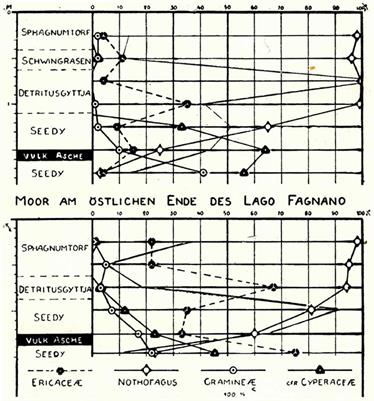 First Pollen Record in South America. Commentary: Die Zeichenschrift der Pollenstatistik